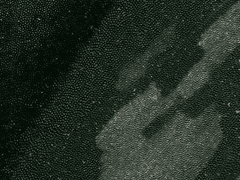 사랑이 조용한 이유 02