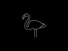 [도플코라] 고결한 형제