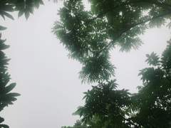 [세준] 날씨: 구름 적당히 4.