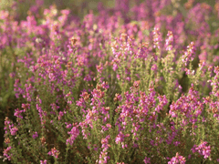 네게 전하고 싶던 작은 용기