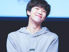 [합작] 시바, 네가 리트리버 같아?