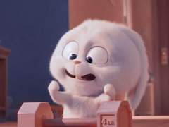 해적들이 이렇게 귀여워도 되는 거임???