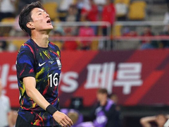 황의조 측, 쌍방대리 논란에 입장 밝혔다…"형수 위해 조력한 바 없어"