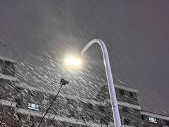 《情人眼》第五章