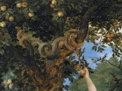 누가 황금 사과를 훔쳐갔는가?(2)