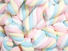 첫 글을 띄우며.