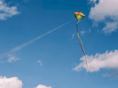 힘들 때 읽으면 좋은 시 공유