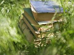 어떤 엔딩 6 (完)