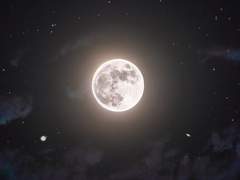 레이몬드에서 가장 결혼하기 싫은 가문 순위