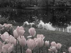 너라서 그랬다.