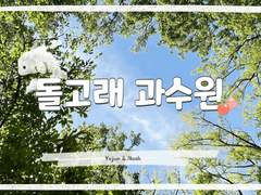 돌고래 과수원 04