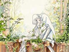 바람과 나무의 시(風と木の詩) 감상글