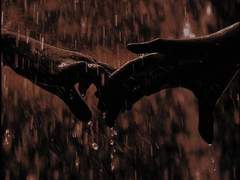 à mon bien-aimé, (1)