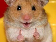 오랜만에 인사드립니다.(읽어주세요)