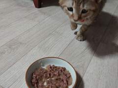 콩들이 먹은 것