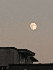 Dragon Village Collection