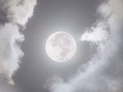 테오도르 E. 페레즈 M PB Slytherin