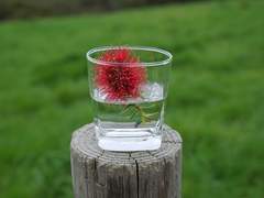 하바리움 <노다 하지메>