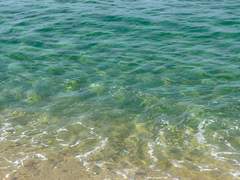 [우성태섭] Will you marry me