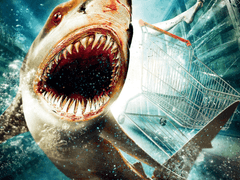 2H332) 베이트 (Bait, 2012)