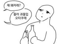 내가 재밌게 본 나페스들