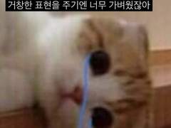 사랑이 망각될 수도 있나요?