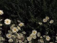 이 밤엔 널 생각할게