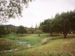 순천만 국가 정원, 순천만 습지