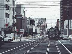 [호열백호] 백조는 울지 않는다.