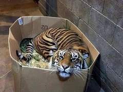 [태웅백호] 전연령 썰 모음