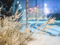 [대협대만] 새해에도 눈이 올까요?