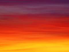 애정, 그건 평생이라고도 불리고