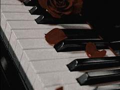 동경하는 단 하나