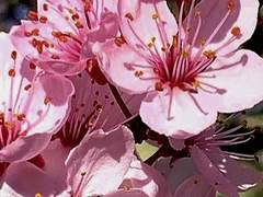 백해은 23 M 지하 포크