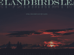 새들이 떠나는 땅