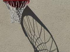 거슬리는 그 놈 (1)