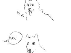 서지혁 괴롭히고싶다