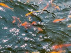 무간도 비하인드 (후기 · QnA)