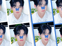 성한빈 포토이즘 도안