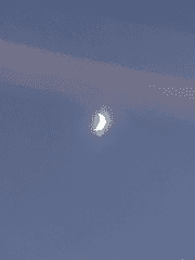 도리벤 짧 드림 18