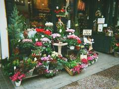 [동오대만] 청춘을 찍었습니다