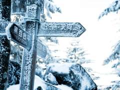 문엋 단문 모음