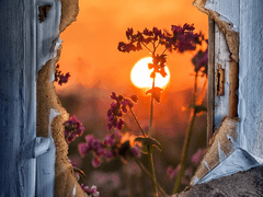 민원/너에게로 가는 길 1