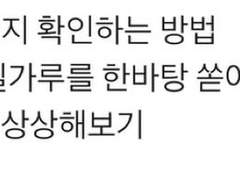 콩깍지 꼈는지 확인하는 방법