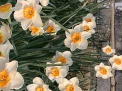 'Flowers' 도유빈, 대한민국 베스트 인물상 후보 선정