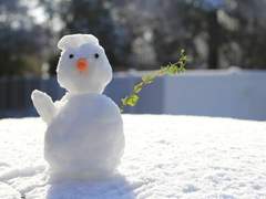 사랑이라는 이름으로 08