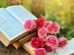 [소을]오만과 편견 中