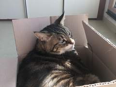 [직장 생활] 직장에서의 불안감의 근원