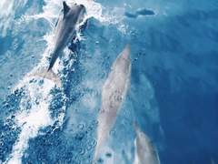 🐬예약 가능 일정 안내🐬