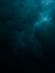 [나루토/보루토] 역사가의 5.5역사책